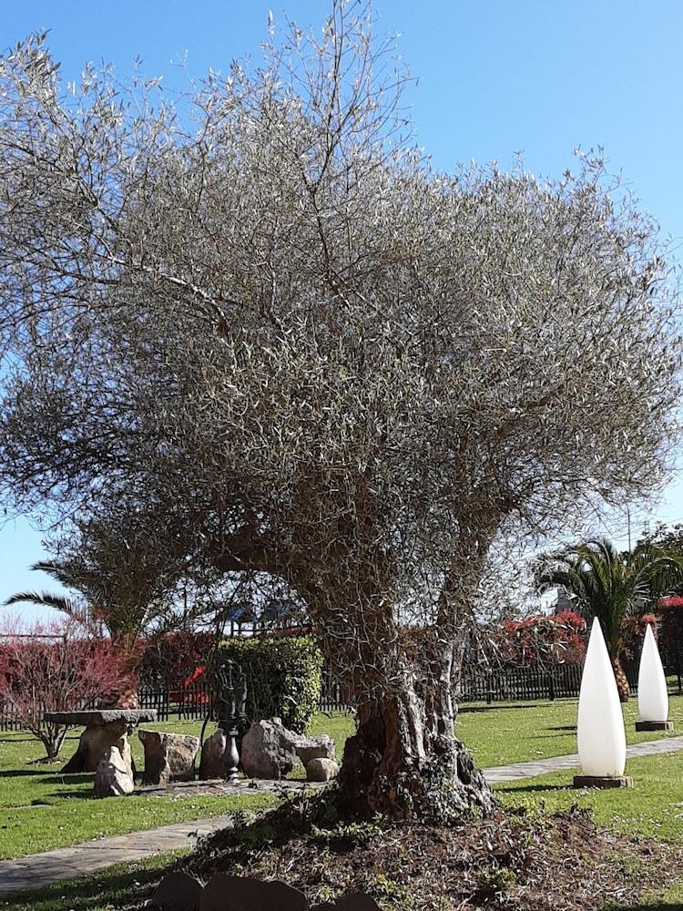 Naveces Hotel Marques De La Moral מראה חיצוני תמונה
